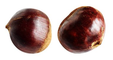 Kestane, kırpma yolu ile izole edilmiş, beyaz arka planda gölge yok, taze ve sağlıklı yiyecek.