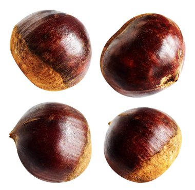 Kestane, kırpma yolu ile izole edilmiş, beyaz arka planda gölge yok, taze ve sağlıklı yiyecek.