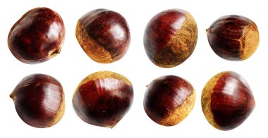 Kestane, kırpma yolu ile izole edilmiş, beyaz arka planda gölge yok, taze ve sağlıklı yiyecek.