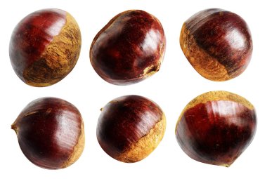 Kestane, kırpma yolu ile izole edilmiş, beyaz arka planda gölge yok, taze ve sağlıklı yiyecek.