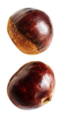 Kestane, kırpma yolu ile izole edilmiş, beyaz arka planda gölge yok, taze ve sağlıklı yiyecek.