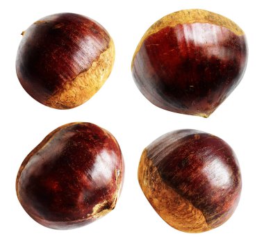 Kestane, kırpma yolu ile izole edilmiş, beyaz arka planda gölge yok, taze ve sağlıklı yiyecek.
