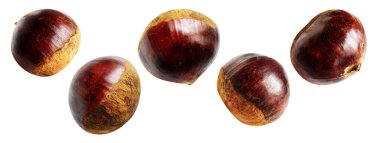 Kestane, kırpma yolu ile izole edilmiş, beyaz arka planda gölge yok, taze ve sağlıklı yiyecek.