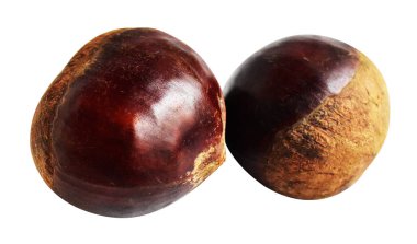 Kestane, kırpma yolu ile izole edilmiş, beyaz arka planda gölge yok, taze ve sağlıklı yiyecek.