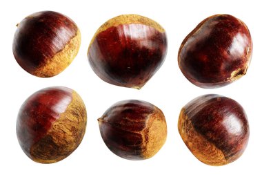 Kestane, kırpma yolu ile izole edilmiş, beyaz arka planda gölge yok, taze ve sağlıklı yiyecek.
