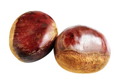 Kestane, kırpma yolu ile izole edilmiş, beyaz arka planda gölge yok, taze ve sağlıklı yiyecek.