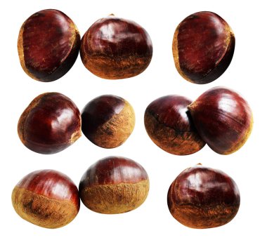 Kestane, kırpma yolu ile izole edilmiş, beyaz arka planda gölge yok, taze ve sağlıklı yiyecek.