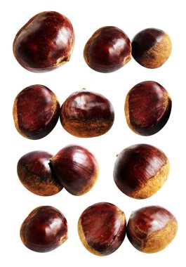 Kestane, kırpma yolu ile izole edilmiş, beyaz arka planda gölge yok, taze ve sağlıklı yiyecek.