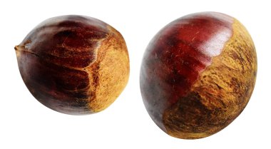 Kestane, kırpma yolu ile izole edilmiş, beyaz arka planda gölge yok, taze ve sağlıklı yiyecek.