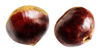 Kestane, kırpma yolu ile izole edilmiş, beyaz arka planda gölge yok, taze ve sağlıklı yiyecek.