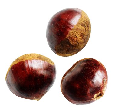 Kestane, kırpma yolu ile izole edilmiş, beyaz arka planda gölge yok, taze ve sağlıklı yiyecek.