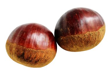 Kestane, kırpma yolu ile izole edilmiş, beyaz arka planda gölge yok, taze ve sağlıklı yiyecek.