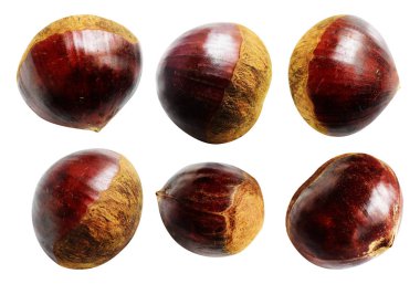 Kestane, kırpma yolu ile izole edilmiş, beyaz arka planda gölge yok, taze ve sağlıklı yiyecek.