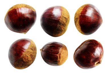 Kestane, kırpma yolu ile izole edilmiş, beyaz arka planda gölge yok, taze ve sağlıklı yiyecek.