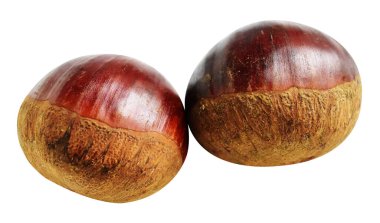 Kestane, kırpma yolu ile izole edilmiş, beyaz arka planda gölge yok, taze ve sağlıklı yiyecek.