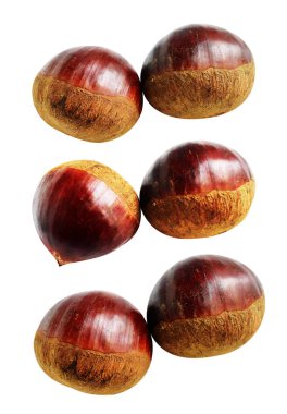 Kestane, kırpma yolu ile izole edilmiş, beyaz arka planda gölge yok, taze ve sağlıklı yiyecek.