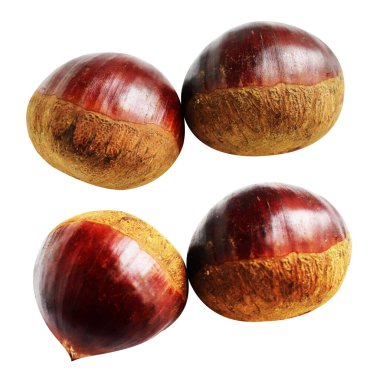 Kestane, kırpma yolu ile izole edilmiş, beyaz arka planda gölge yok, taze ve sağlıklı yiyecek.