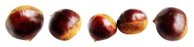 Kestane, kırpma yolu ile izole edilmiş, beyaz arka planda gölge yok, taze ve sağlıklı yiyecek.