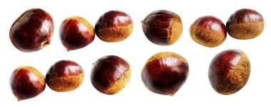 Kestane, kırpma yolu ile izole edilmiş, beyaz arka planda gölge yok, taze ve sağlıklı yiyecek.