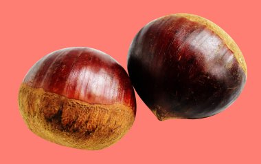 Kırpma yolu ile izole edilmiş kestane, pembe arka planda gölge yok, taze ve sağlıklı yiyecek.