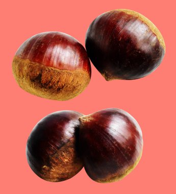 Kırpma yolu ile izole edilmiş kestane, pembe arka planda gölge yok, taze ve sağlıklı yiyecek.