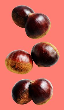 Kırpma yolu ile izole edilmiş kestane, pembe arka planda gölge yok, taze ve sağlıklı yiyecek.