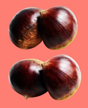 Kırpma yolu ile izole edilmiş kestane, pembe arka planda gölge yok, taze ve sağlıklı yiyecek.