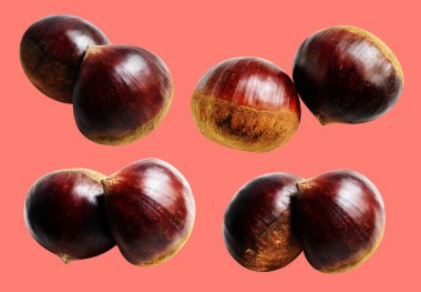 Kırpma yolu ile izole edilmiş kestane, pembe arka planda gölge yok, taze ve sağlıklı yiyecek.