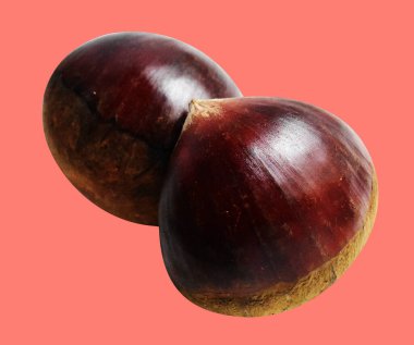Kırpma yolu ile izole edilmiş kestane, pembe arka planda gölge yok, taze ve sağlıklı yiyecek.