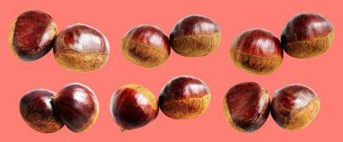 Kırpma yolu ile izole edilmiş kestane, pembe arka planda gölge yok, taze ve sağlıklı yiyecek.