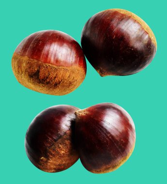 Kestane, kırpma yolu ile izole edilmiş, yeşil arka planda gölge yok, taze ve sağlıklı yiyecek.