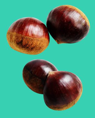 Kestane, kırpma yolu ile izole edilmiş, yeşil arka planda gölge yok, taze ve sağlıklı yiyecek.