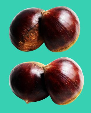 Kestane, kırpma yolu ile izole edilmiş, yeşil arka planda gölge yok, taze ve sağlıklı yiyecek.