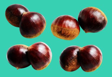 Kestane, kırpma yolu ile izole edilmiş, yeşil arka planda gölge yok, taze ve sağlıklı yiyecek.