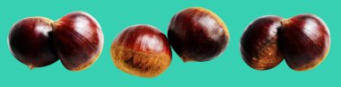 Kestane, kırpma yolu ile izole edilmiş, yeşil arka planda gölge yok, taze ve sağlıklı yiyecek.