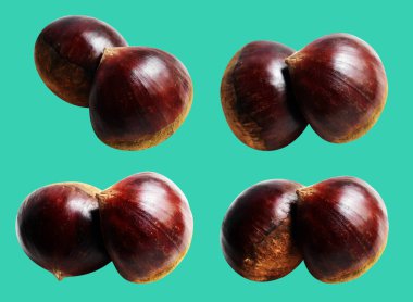 Kestane, kırpma yolu ile izole edilmiş, yeşil arka planda gölge yok, taze ve sağlıklı yiyecek.