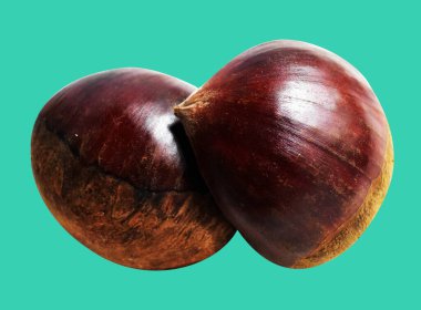 Kestane, kırpma yolu ile izole edilmiş, yeşil arka planda gölge yok, taze ve sağlıklı yiyecek.