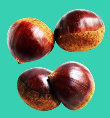 Kestane, kırpma yolu ile izole edilmiş, yeşil arka planda gölge yok, taze ve sağlıklı yiyecek.