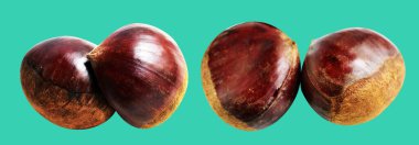 Kestane, kırpma yolu ile izole edilmiş, yeşil arka planda gölge yok, taze ve sağlıklı yiyecek.