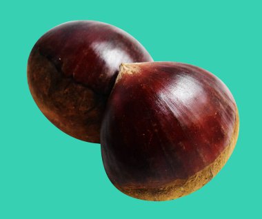 Kestane, kırpma yolu ile izole edilmiş, yeşil arka planda gölge yok, taze ve sağlıklı yiyecek.