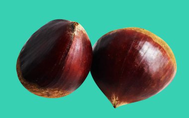 Kestane, kırpma yolu ile izole edilmiş, yeşil arka planda gölge yok, taze ve sağlıklı yiyecek.