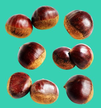 Kestane, kırpma yolu ile izole edilmiş, yeşil arka planda gölge yok, taze ve sağlıklı yiyecek.