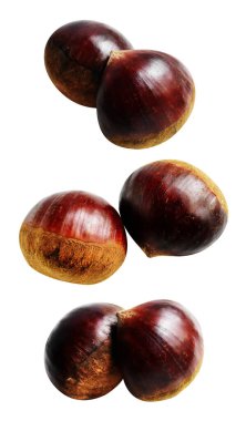 Kestane, kırpma yolu ile izole edilmiş, beyaz arka planda gölge yok, taze ve sağlıklı yiyecek.