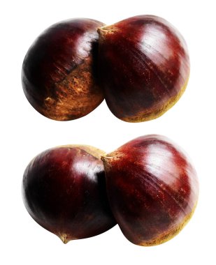 Kestane, kırpma yolu ile izole edilmiş, beyaz arka planda gölge yok, taze ve sağlıklı yiyecek.