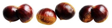 Kestane, kırpma yolu ile izole edilmiş, beyaz arka planda gölge yok, taze ve sağlıklı yiyecek.