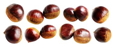 Kestane, kırpma yolu ile izole edilmiş, beyaz arka planda gölge yok, taze ve sağlıklı yiyecek.