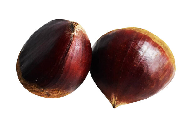 Каштан изолирован с обрезкой пути, без тени на белом фоне, свежие натуральные здоровые продукты питания