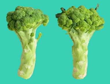 Brokoli ya da yeşil karnabahar yeşil arka planda kırpma yolu ile izole edilmiş, gölge yok, yemek malzemeleri, sağlıklı sebzeler