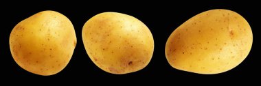 Patates, siyah arka planda kırpma yolu ile izole edilmiş, gölge yok, çiğ sebze, yemek malzemesi