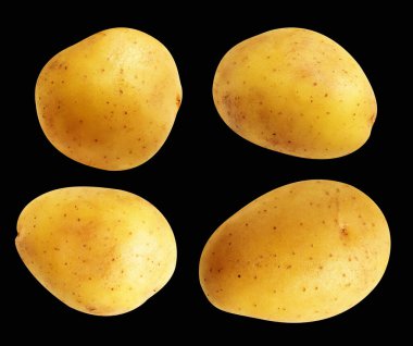 Patates, siyah arka planda kırpma yolu ile izole edilmiş, gölge yok, çiğ sebze, yemek malzemesi